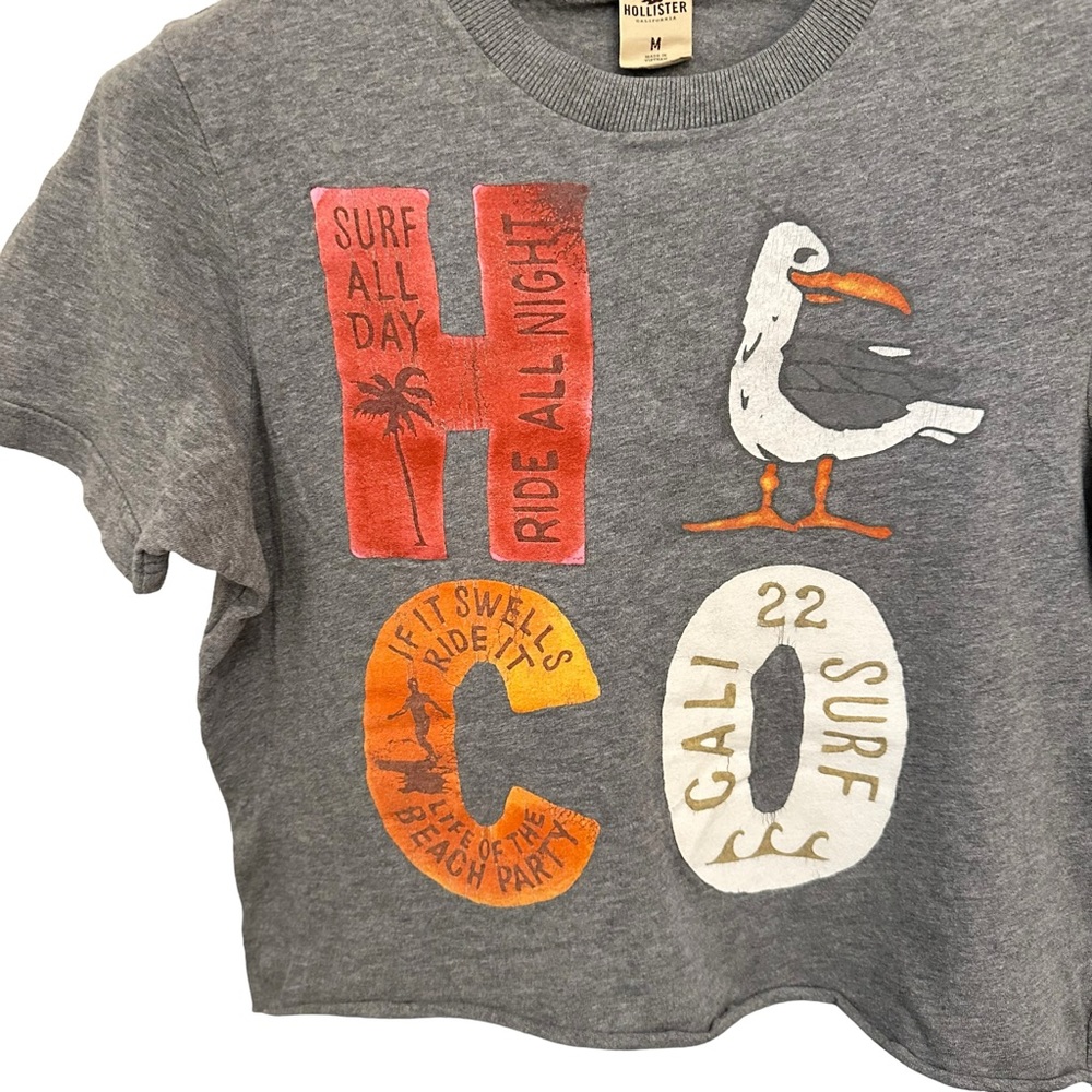 Hollister Surfer Girl Crop Tee M